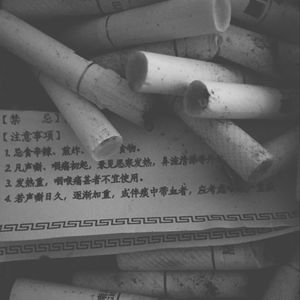 浪荡公子网站视频
