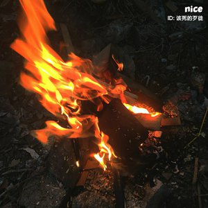 浪荡公子网站视频
