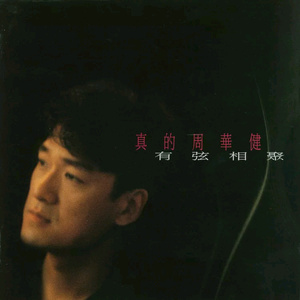 浪荡公子网站视频
