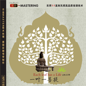 浪荡公子网站视频
