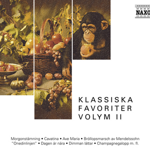 浪荡公子网站视频
